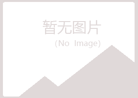 伊宁山柳工程有限公司